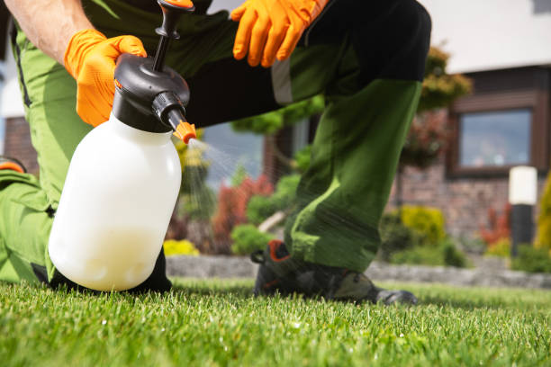 Best Insect Control  in Collinsville, AL