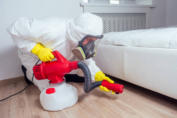 Best Best Pest Control Companies  in Collinsville, AL