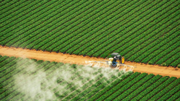 Best Mosquito Control Services  in Collinsville, AL