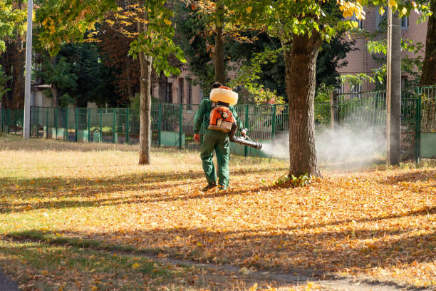 Best Cockroach Control Services  in Collinsville, AL