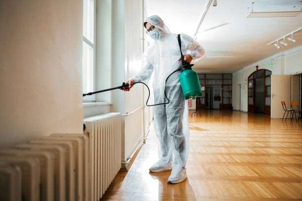 Wasp Removal Services in Collinsville, AL